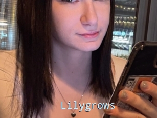 Lilygrows