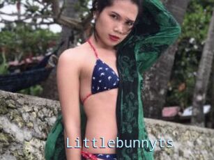Littlebunnyts