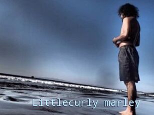 Littlecurly_marley