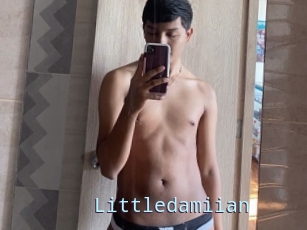 Littledamiian
