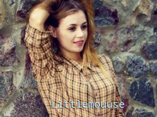 Littlemouuse