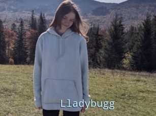 Lladybugg