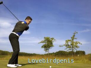 Lovebirdpenis