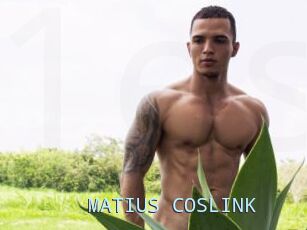 MATIUS_COSLINK