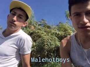 Malehotboys