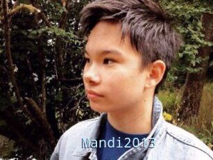 Mandi2013