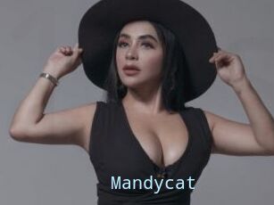 Mandycat
