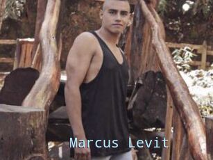 Marcus_Levit