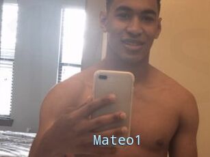 Mateo1