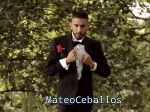 MateoCeballos
