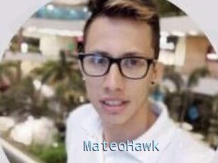 MateoHawk
