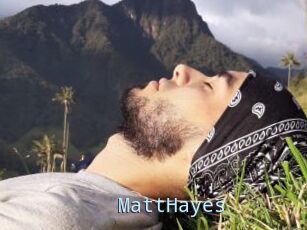 MattHayes