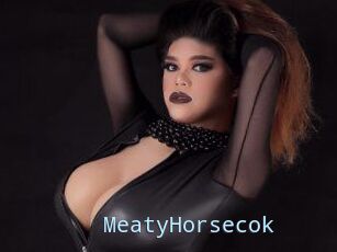 MeatyHorsecok