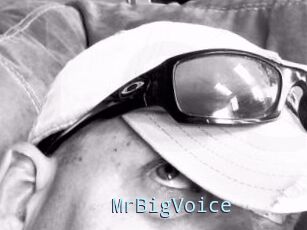 MrBigVoice
