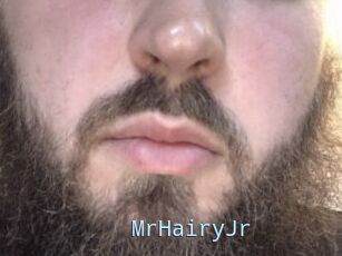 MrHairyJr