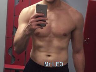 MrLEO
