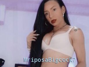 MriposaBigcock7