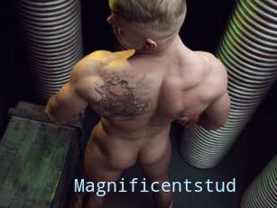 Magnificentstud