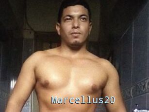 Marcellus20