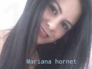 Mariana_hornet