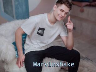 Marvinshake
