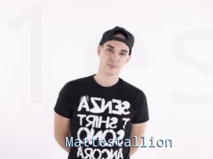 Mattestallion
