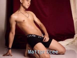 Mattpricee