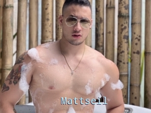 Mattseil