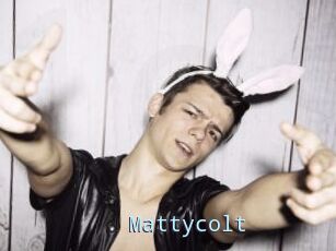 Mattycolt