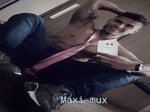 Maxi_mux