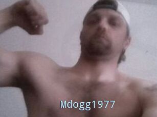 Mdogg1977