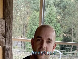 Meesterv