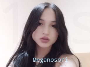 Meganosori