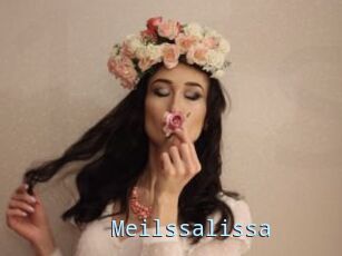 Meilssalissa