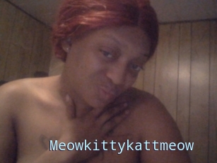 Meowkittykattmeow