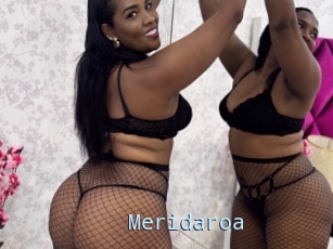 Meridaroa