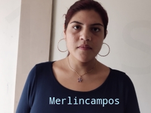 Merlincampos