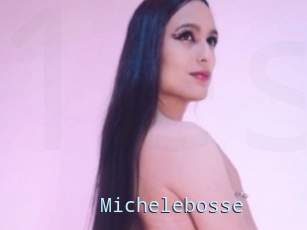 Michelebosse