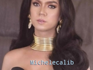 Michelecalib