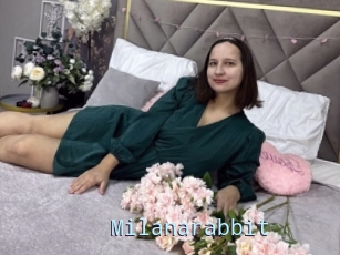 Milanarabbit
