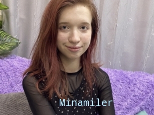 Minamiler