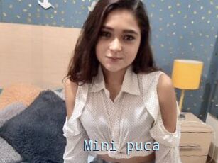 Mini_puca