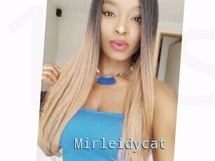 Mirleidycat