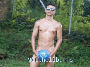 Mitchellburns