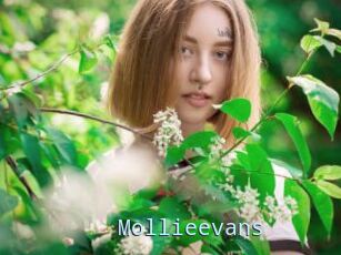 Mollieevans
