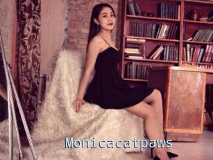 Monicacatpaws