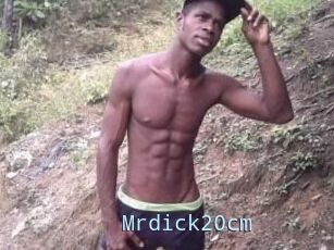 Mrdick20cm
