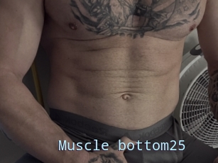 Muscle_bottom25