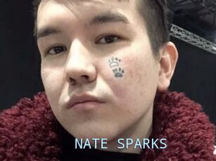 NATE_SPARKS