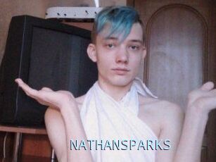 NATHAN_SPARKS